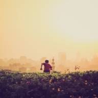 Blog 24: A Philosophy for staying and feeling alive  What gives purpose, motivation and energy Part 3